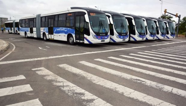  Governadora quer mais transportes públicos em circulação