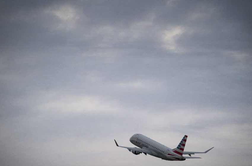  Bacardi processa American Airlines por ‘perder’ 400 caixas de conhaque